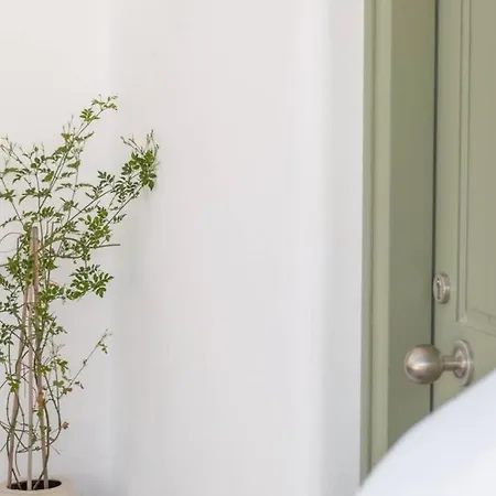 Jasmine House Vigla 度假居 米科利维亚